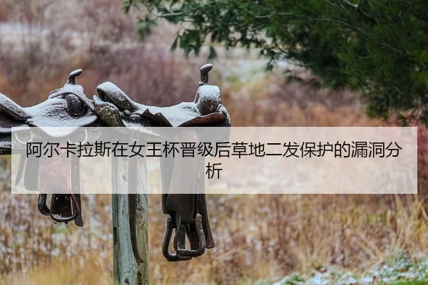 a-er-ka-la-si-zai-nv-wang-bei-jin-ji-hou-cao-di-er-fa-bao-hu-de-lou-dong-fen-xi-2-790.jpg