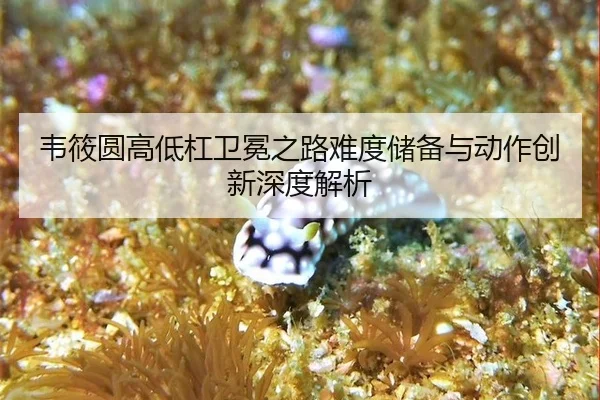 韦筱圆高低杠卫冕之路难度储备与动作创新深度解析