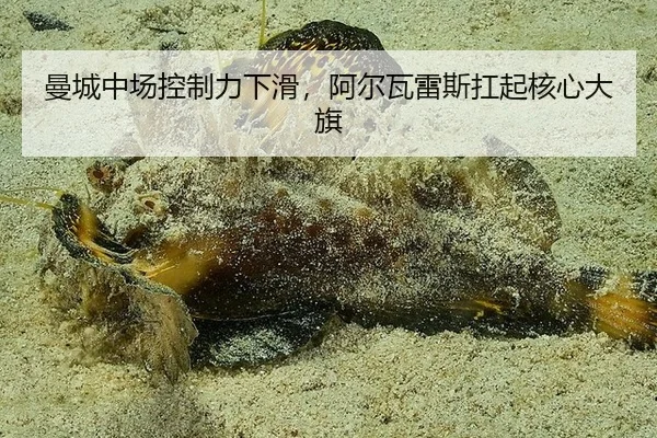 曼城中场控制力下滑，阿尔瓦雷斯扛起核心大旗