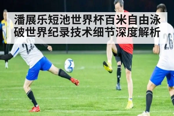 潘展乐短池世界杯百米自由泳破世界纪录技术细节深度解析